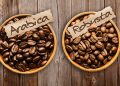 Jadi Pecinta Kopi, Harus Tahu Bedanya Arabica & Robusta