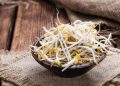Apakah Gerakan Vegan dan Vegetarian Bertahan di Kalangan Anak Muda?