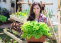 Tren Urban Farming: Anak Muda yang Beralih ke Pertanian, Kenapa Enggak?