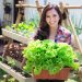 Tren Urban Farming: Anak Muda yang Beralih ke Pertanian, Kenapa Enggak?