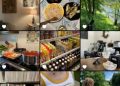Instagram Aesthetic? Ini Rahasianya! ✨