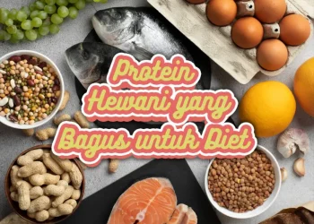 Protein Murah & Sehat: Rahasia Anak Muda Aktif Biar Tetap Fit!