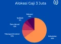 CARA NGATUR GAJI 3 JUTA BIAR BISA NABUNG!