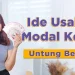 5 IDE BISNIS MODAL KECIL TAPI KEUNTUNGAN BESAR!