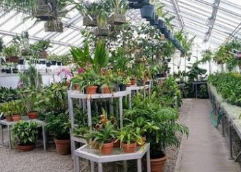 URBAN GARDENING: MENANAM DI KOTA, KENAPA NGGAK?