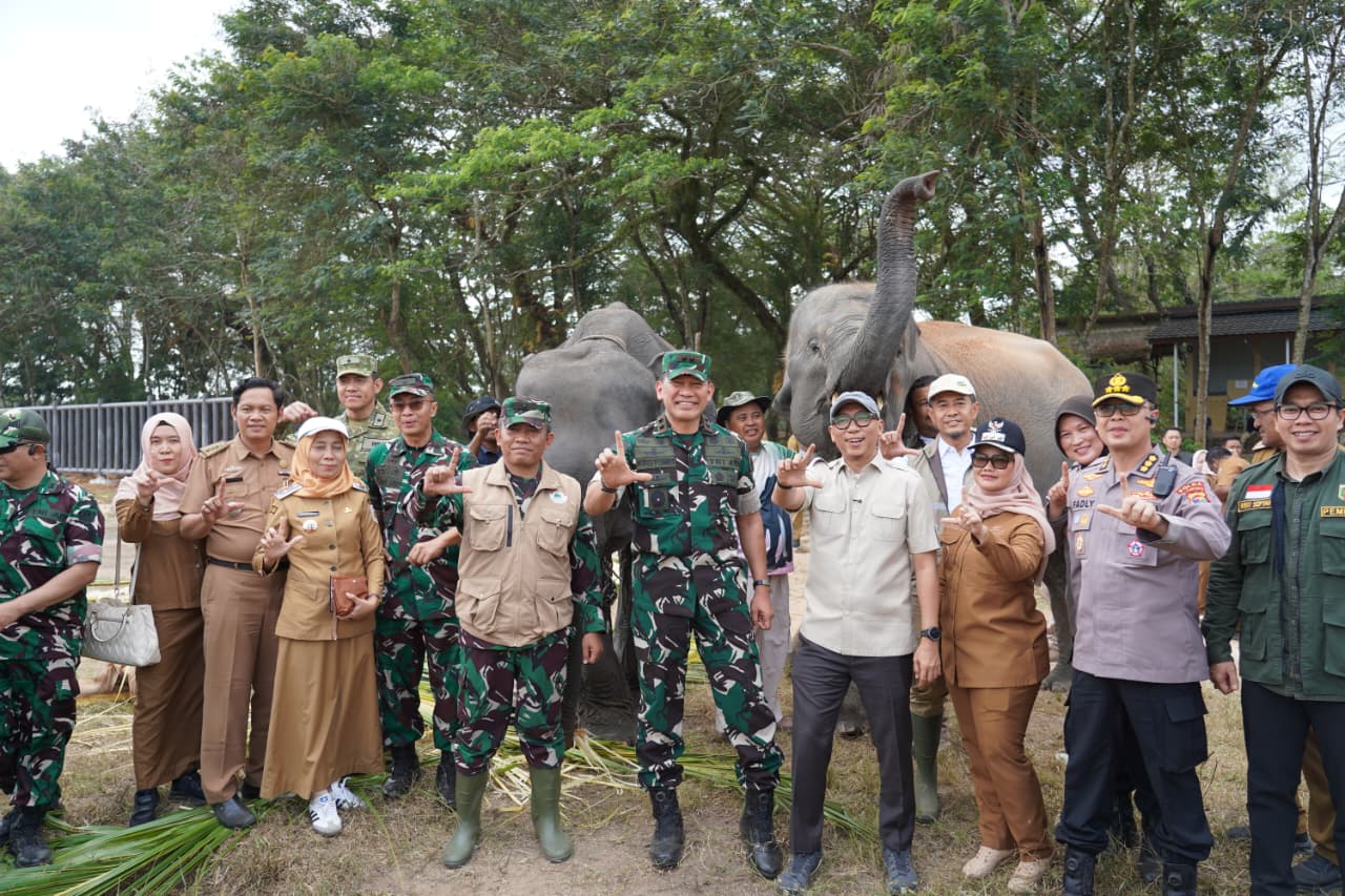 Kabar Terbaru dari Way Kambas: Gajah Aman, Titik Api Ditangani dengan Teknologi Canggih